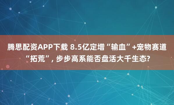 腾思配资APP下载 8.5亿定增“输血”+宠物赛道“拓荒”, 步步高系能否盘活大千生态?